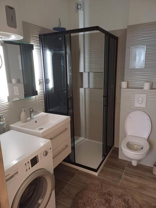 Central Vita Apartment Rijeka Buitenkant foto