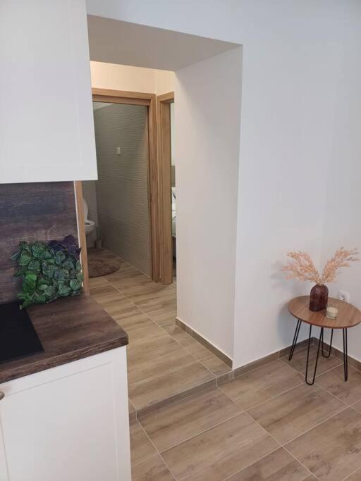 Central Vita Apartment Rijeka Buitenkant foto