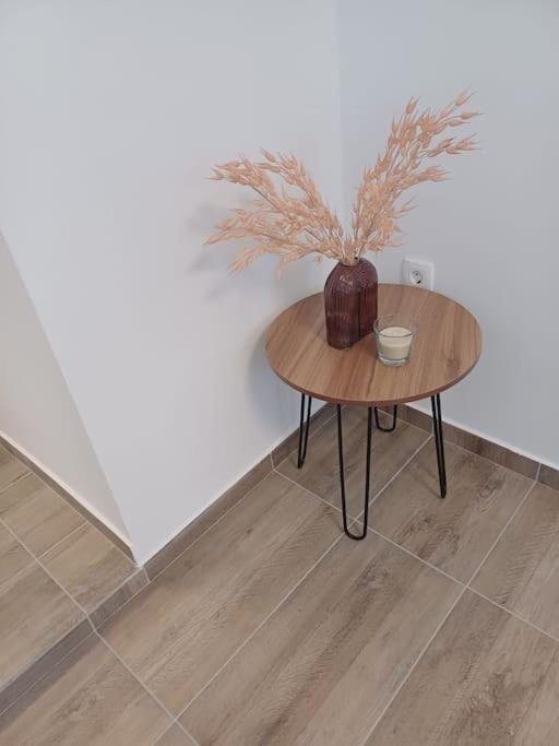 Central Vita Apartment Rijeka Buitenkant foto